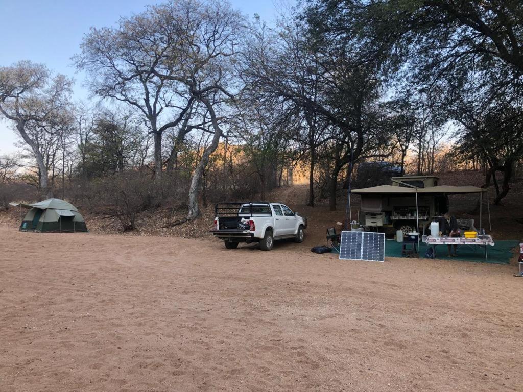 Adansonia Eco Lodge Musina Ngoại thất bức ảnh