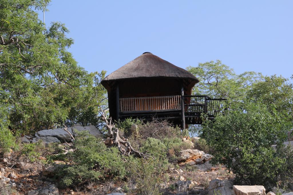 Adansonia Eco Lodge Musina Phòng bức ảnh