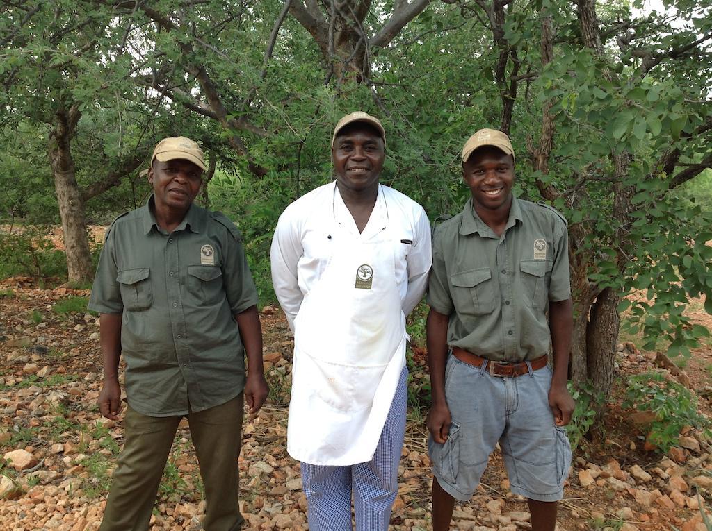 Adansonia Eco Lodge Musina Ngoại thất bức ảnh