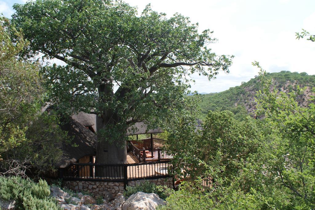 Adansonia Eco Lodge Musina Ngoại thất bức ảnh
