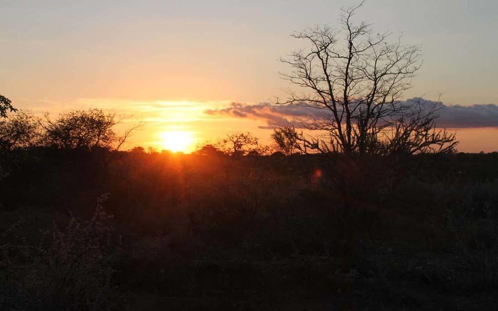 Adansonia Eco Lodge Musina Ngoại thất bức ảnh