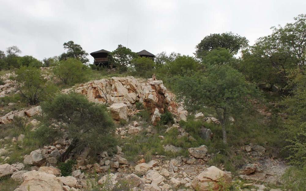 Adansonia Eco Lodge Musina Ngoại thất bức ảnh