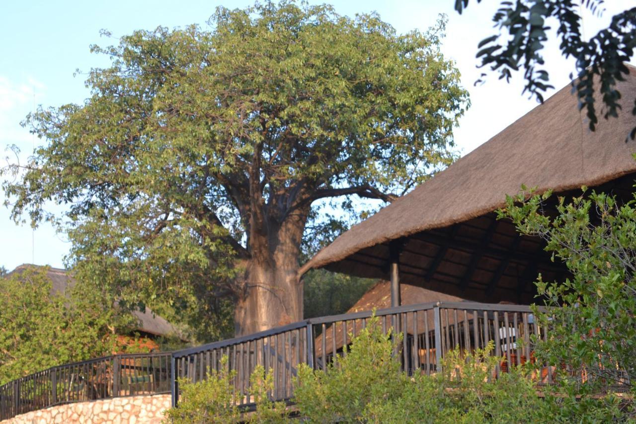 Adansonia Eco Lodge Musina Ngoại thất bức ảnh