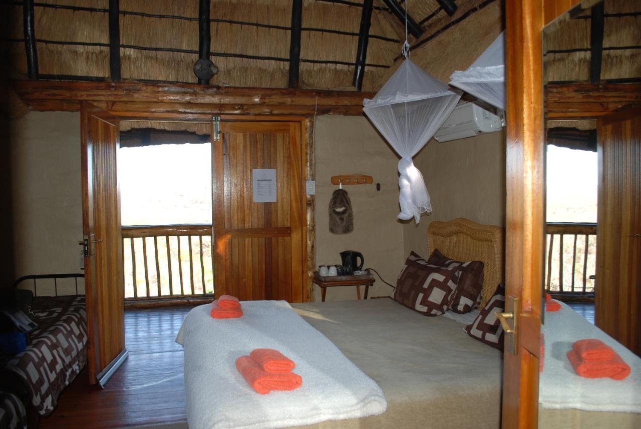 Adansonia Eco Lodge Musina Ngoại thất bức ảnh